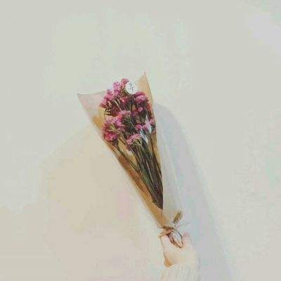 万剑仙踪破解版下载